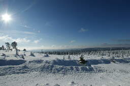Winterlandschaft im Harz Winterlandschaft im Harz