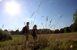 Wandern Wandern