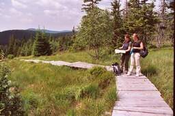 Wandern im Harz Wandern im Harz
