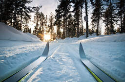 Langlauf im Harz - IStock Den Harz auf Ski entdecken