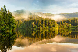 Natur pur im Harz, Nationalpark Harz Wandern im einzigartigen Nationalpark Harz