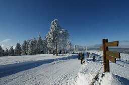 Winterwandern in Bad Sachsa Winterwandern in Bad Sachsa